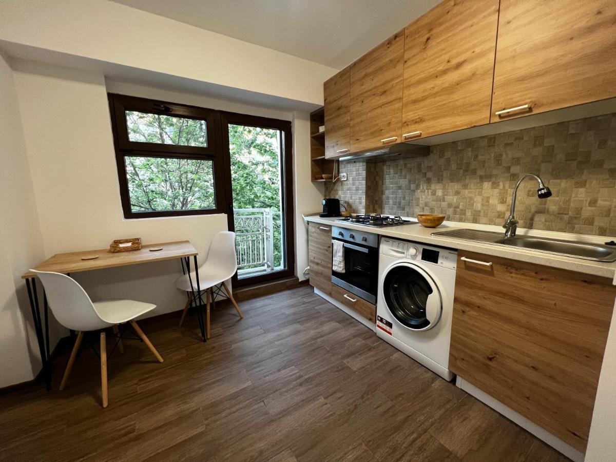 Central Studio Apartman Bukarest Kültér fotó